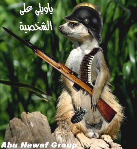 brucelee maroc